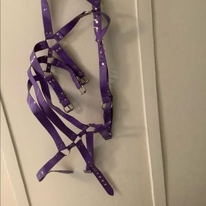 Purple harness